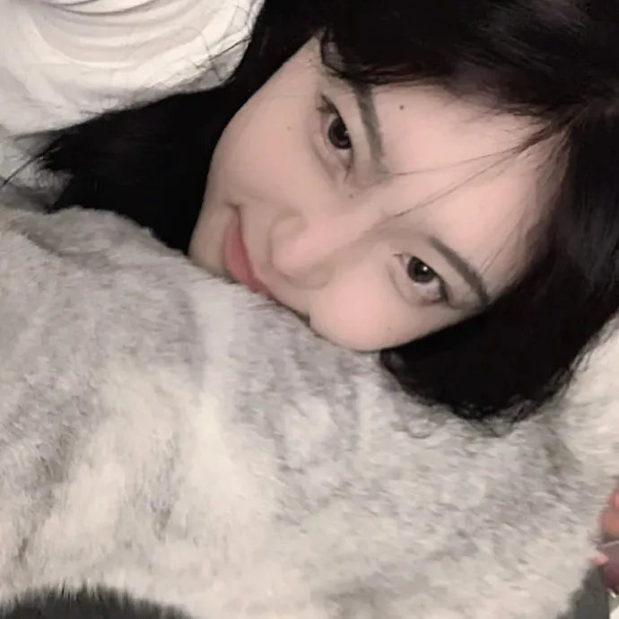 李佩西与五大王国的守护者
