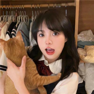 菲力兹九命猫